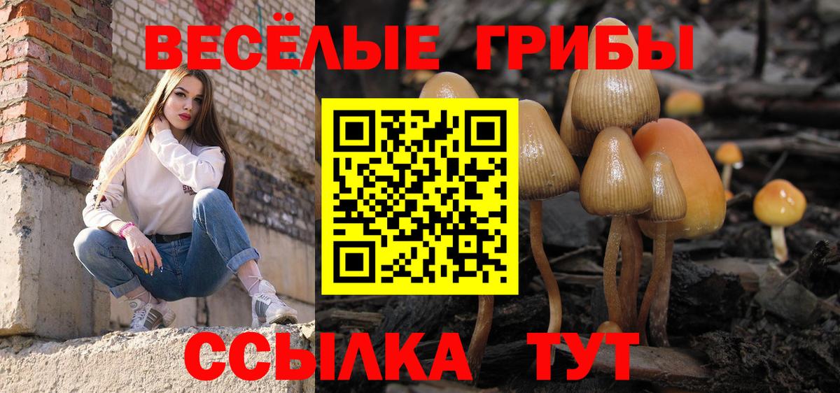 Псилоцибиновые грибы MAGIC MUSHROOMS Джанкой