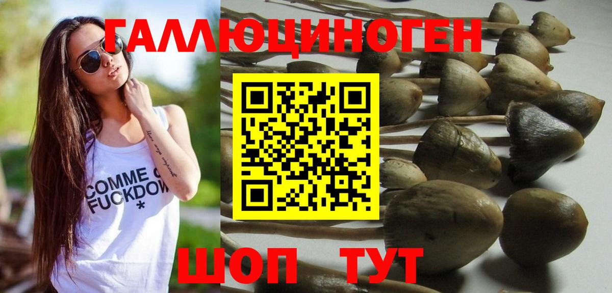 Псилоцибиновые грибы Magic Shrooms  хочу наркоту  Джанкой 